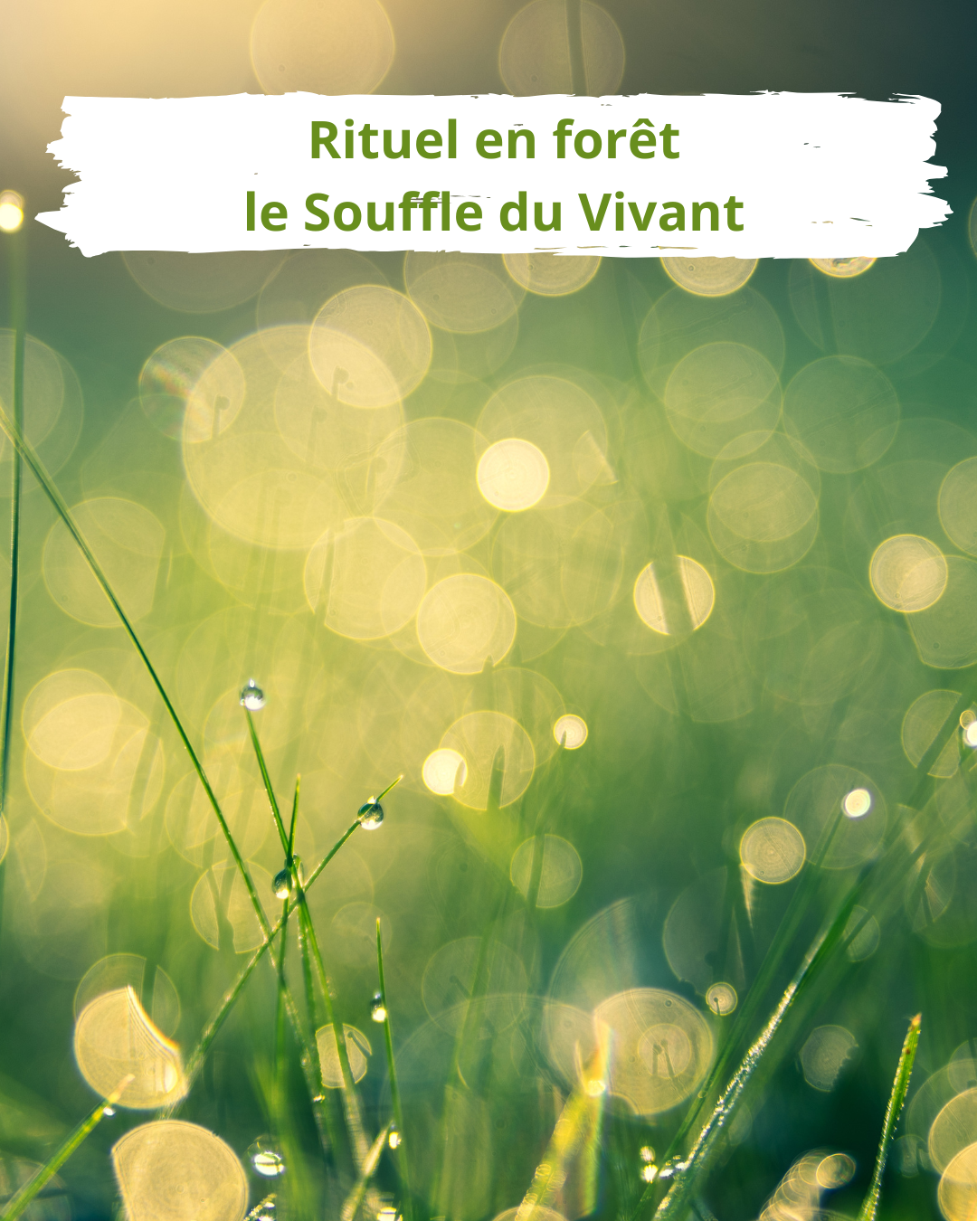 Le Souffle du Vivant - un rituel en forêt
