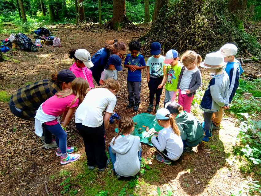 Camp d'été Nature & Découvertes