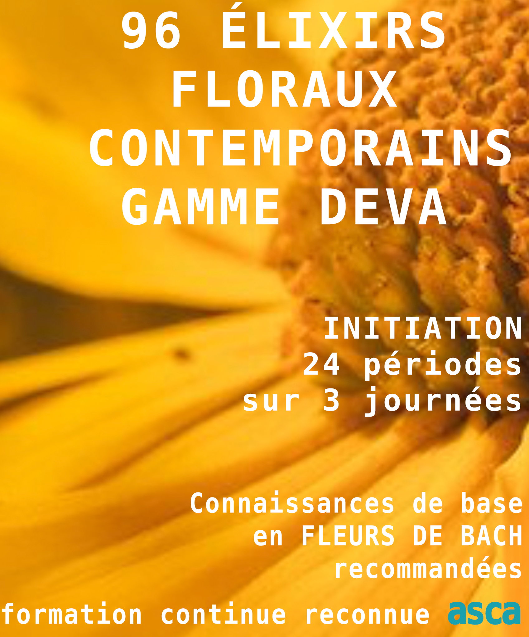 96 élixirs floraux contemporains gamme Deva