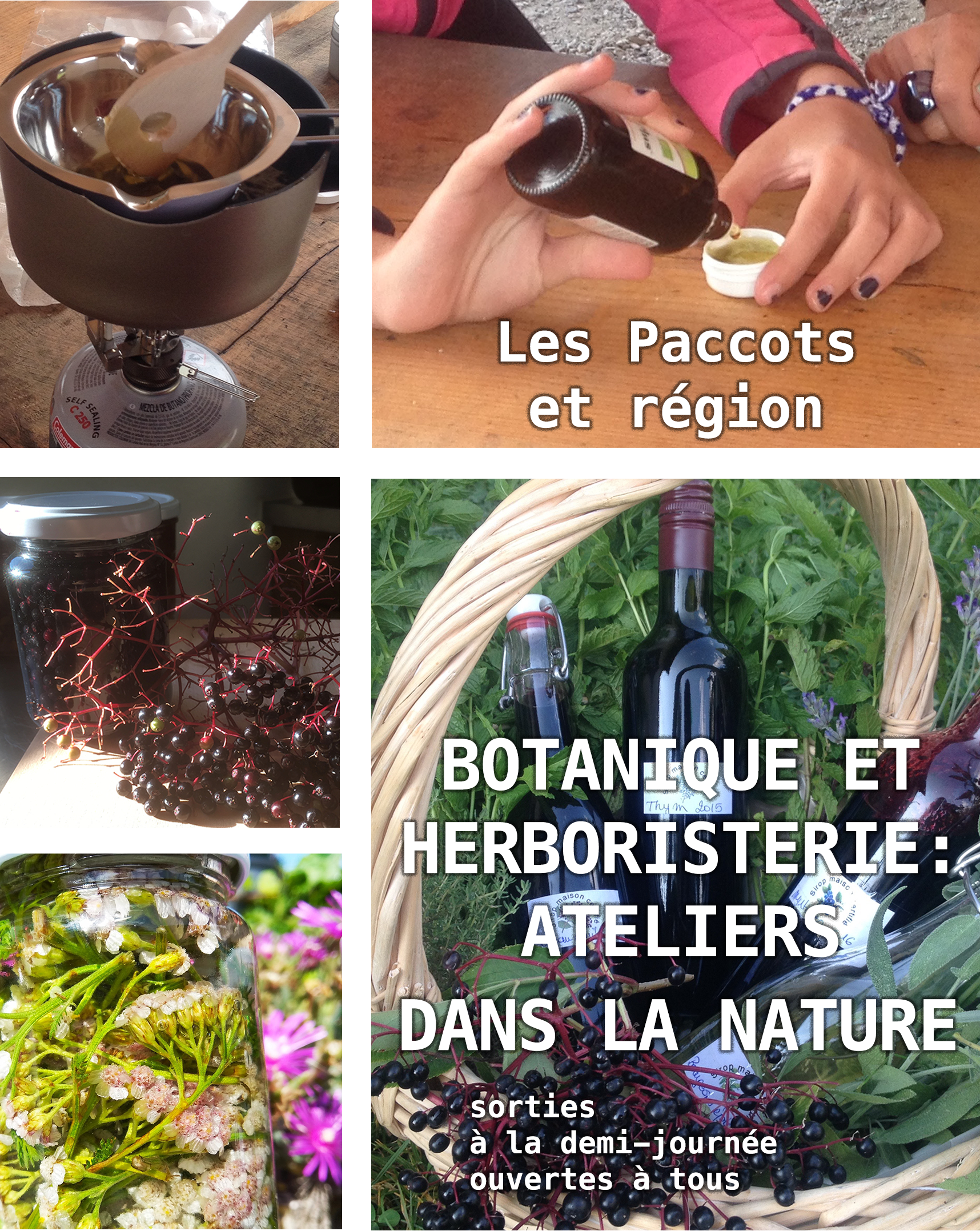 Atelier de botanique et d’herboristerie