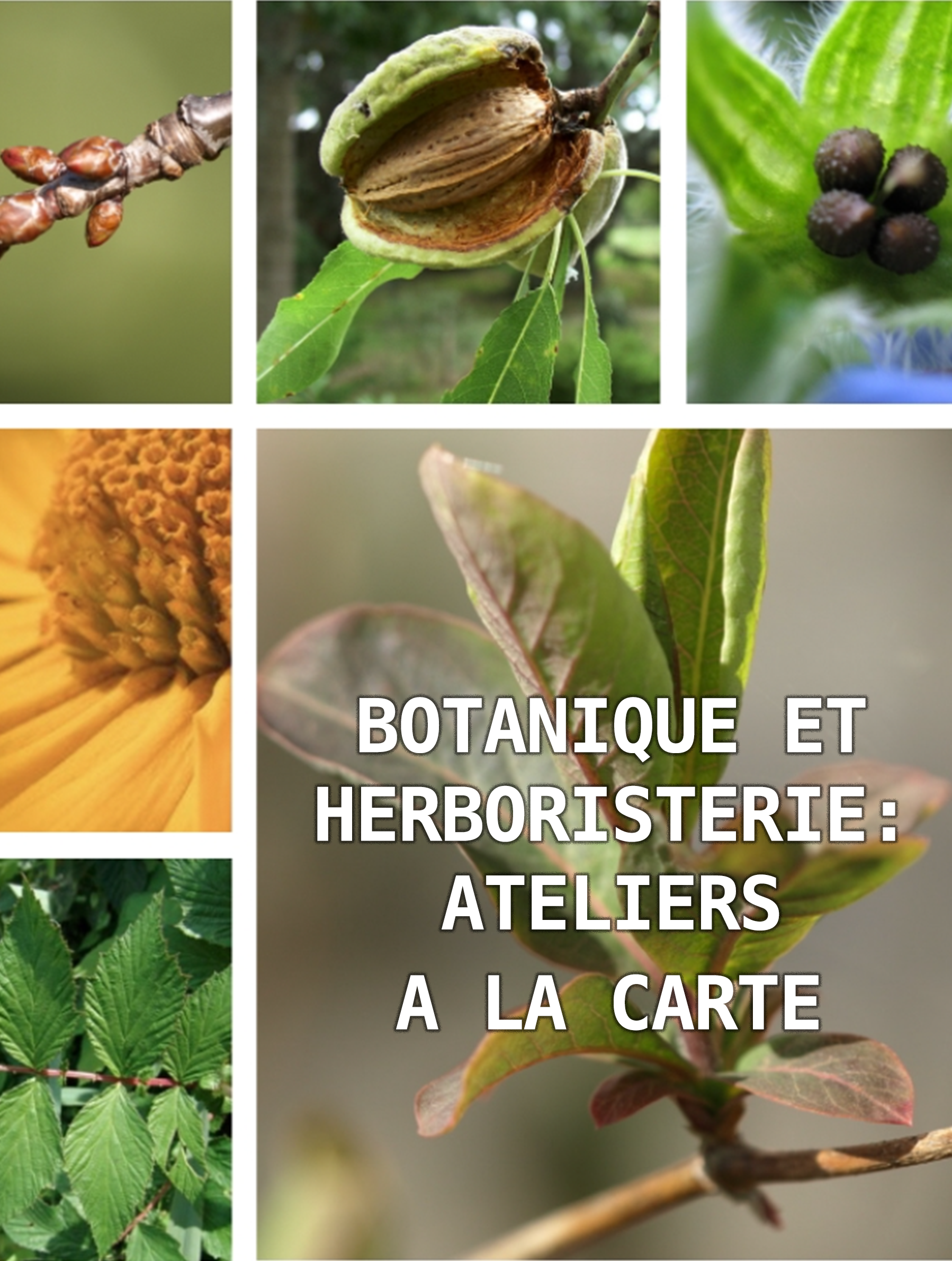 Ateliers « à la carte »