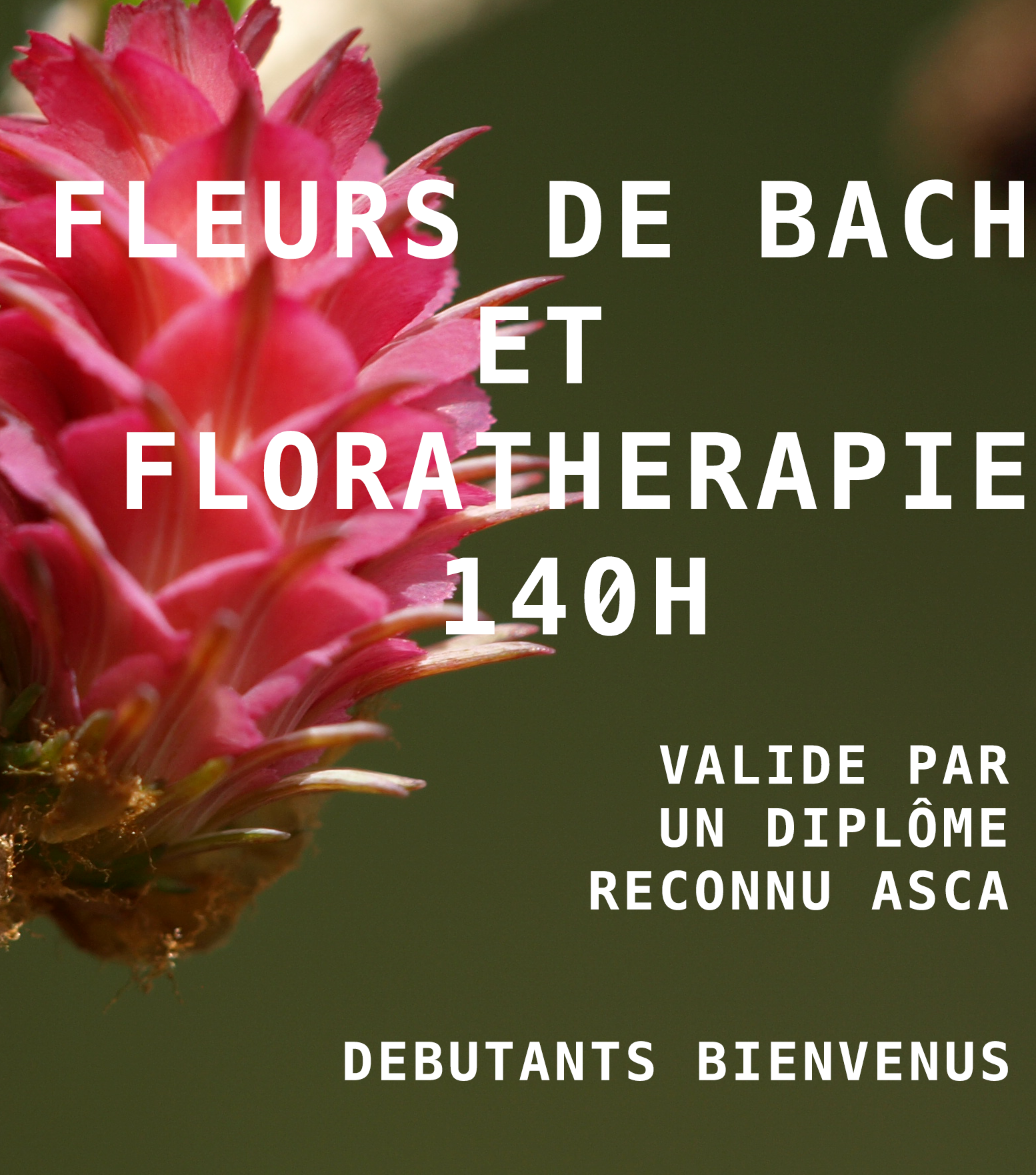 Fleurs de Bach et florathérapie