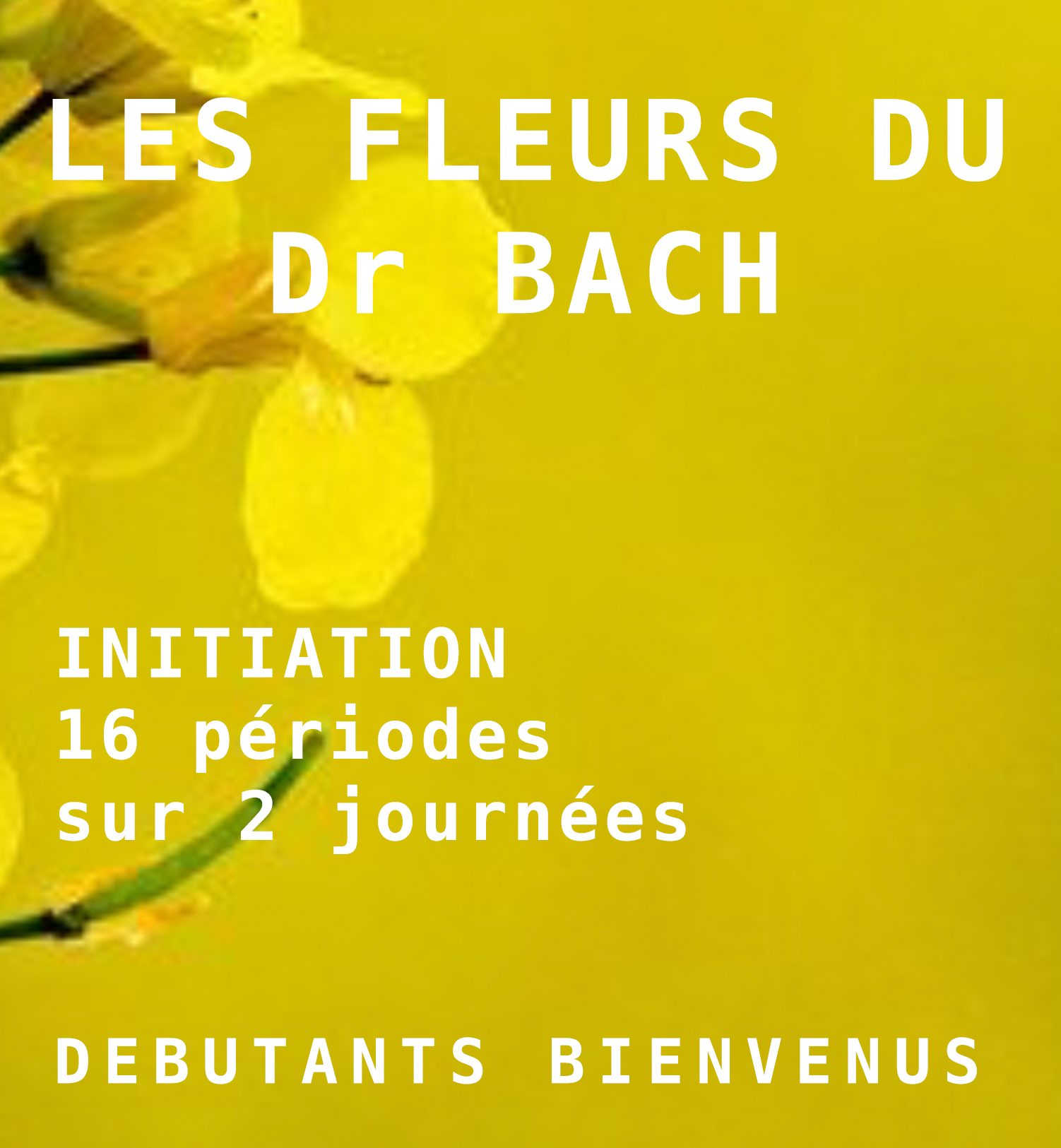 Fleurs de Bach