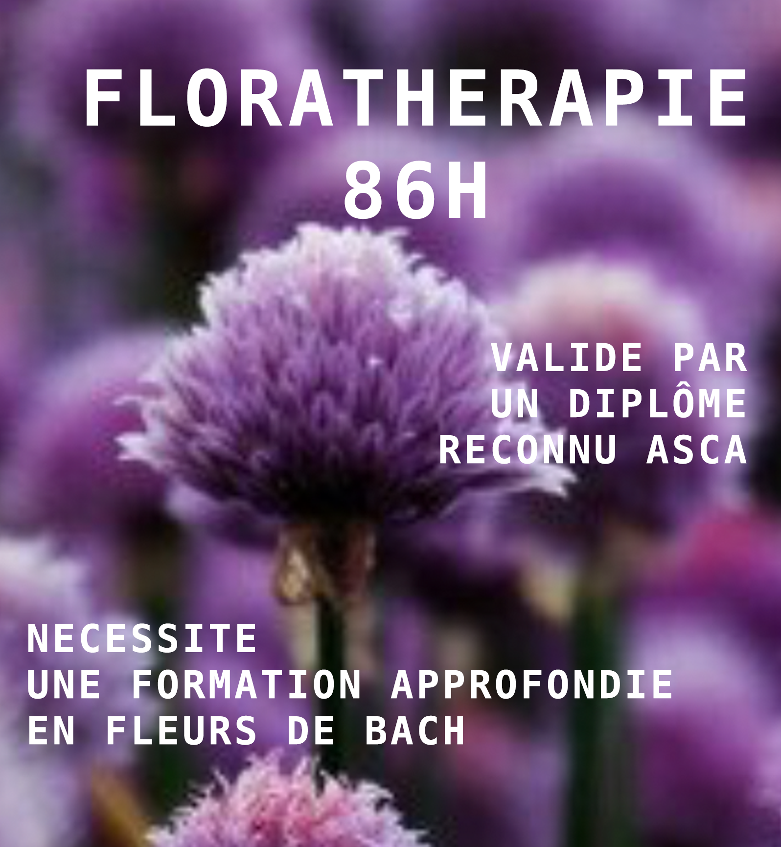 Florathérapie