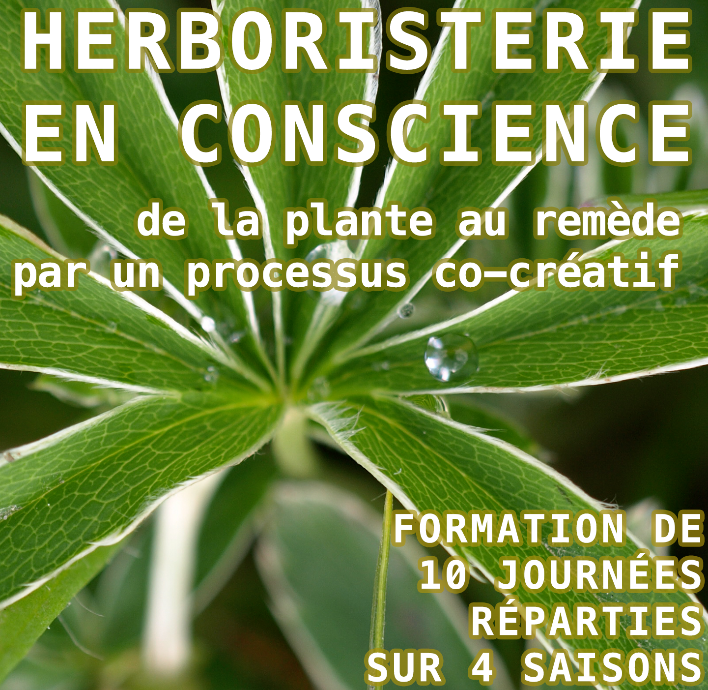 Herboristerie en conscience