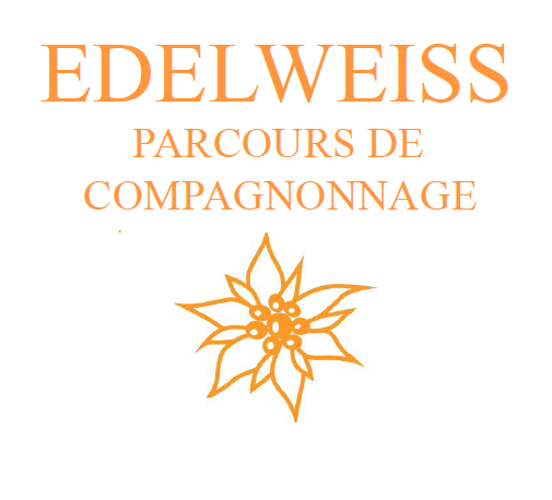 Parcours de compagnonnage pour la transmission en fleurs de Bach et élixirs floraux
