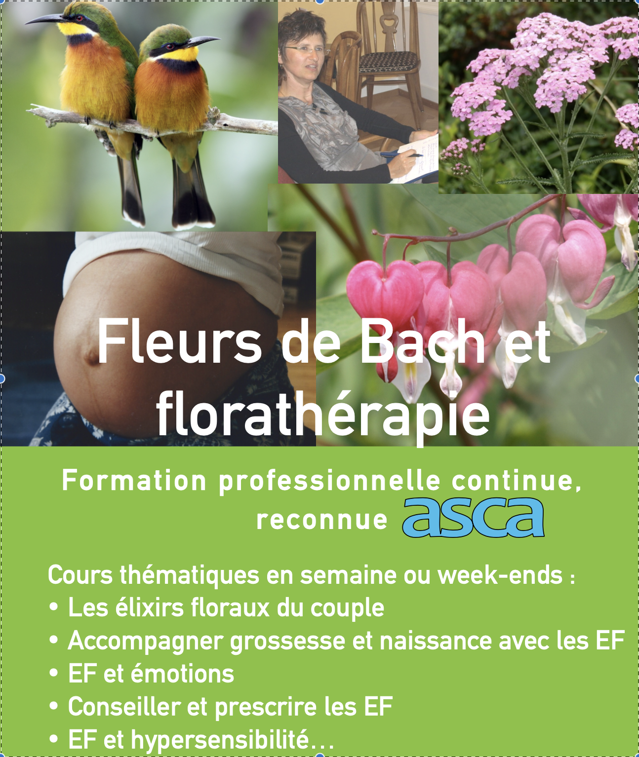 Stages d’approfondissement en fleurs de Bach et élixirs floraux