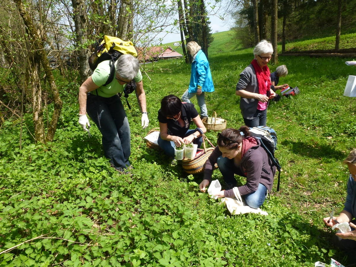 Cycle des 4 saisons