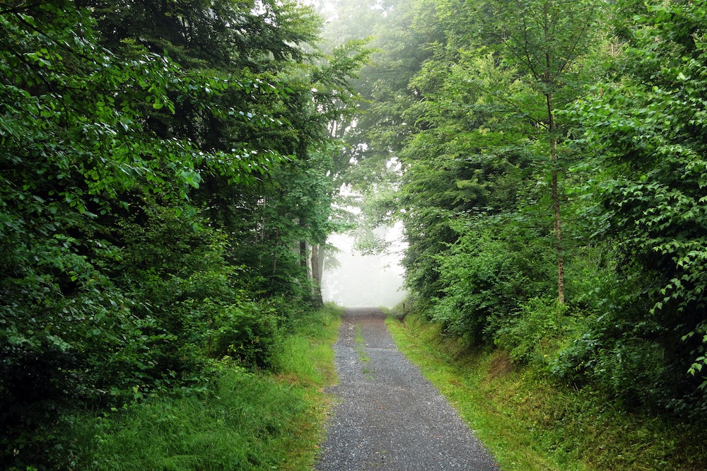 Re-connexion avec la Nature