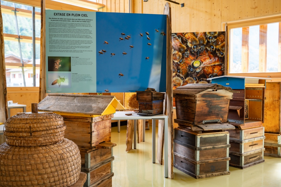 Location d’espaces, visites scolaires et de groupes
