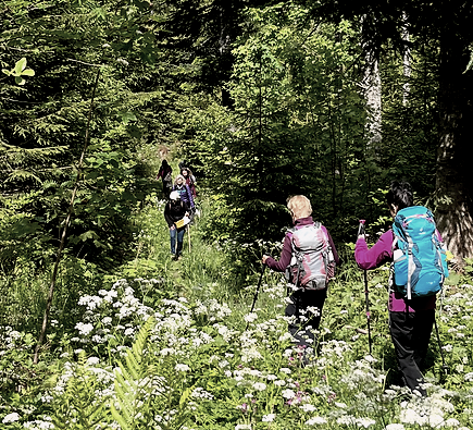 Randonnée sauvage (mode survie) sur les crêtes du Jura