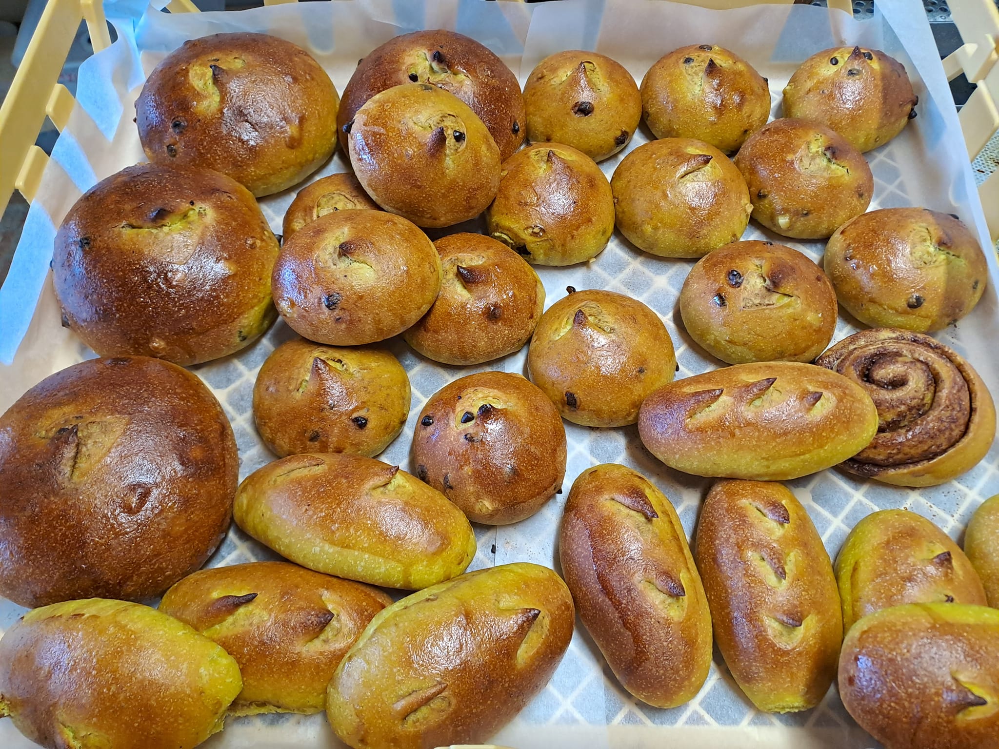 Fabrication et vente de brioches et viennoiseries