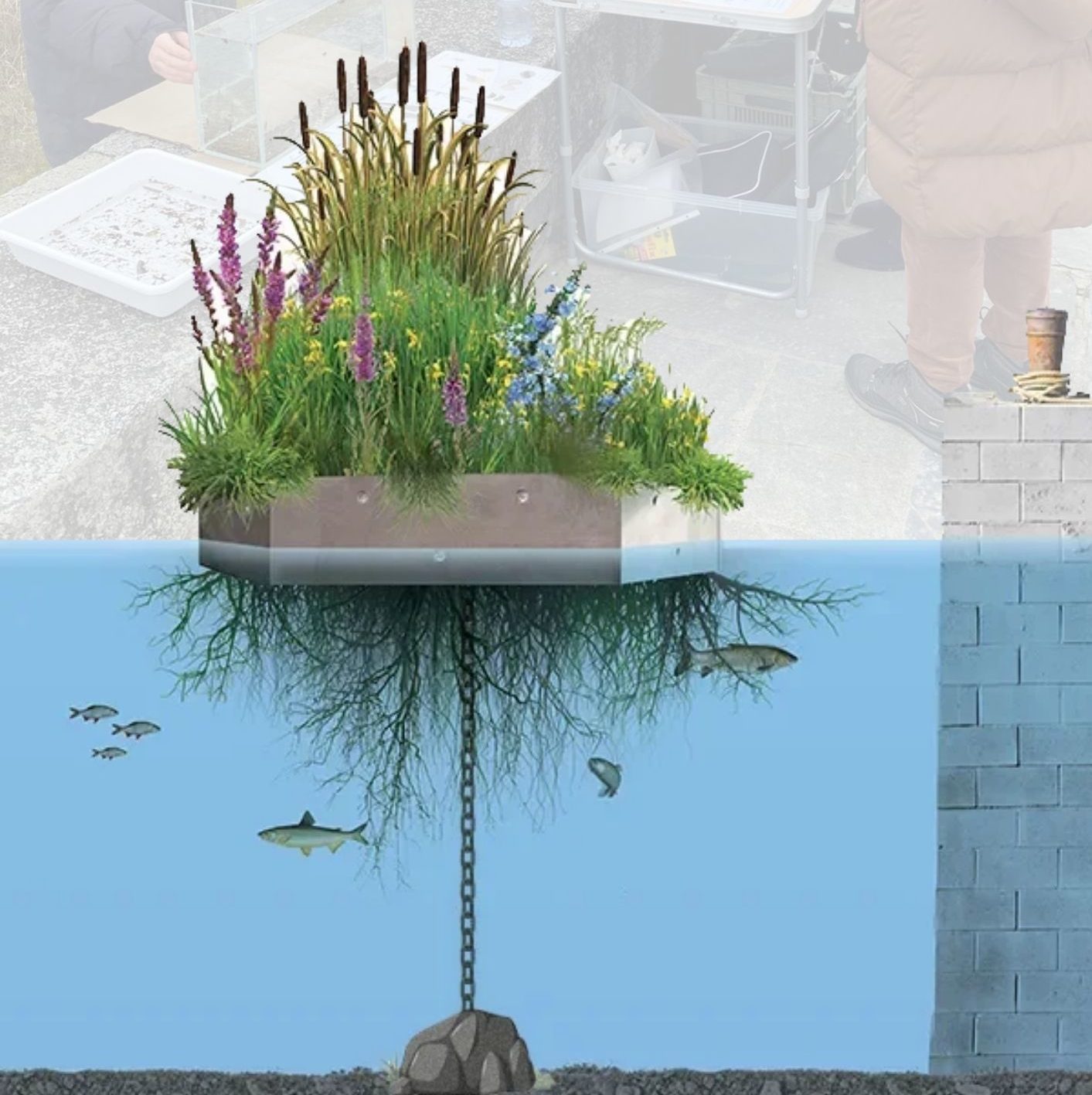 Vente et installation de radeau végétalisé (écosystème flottant)