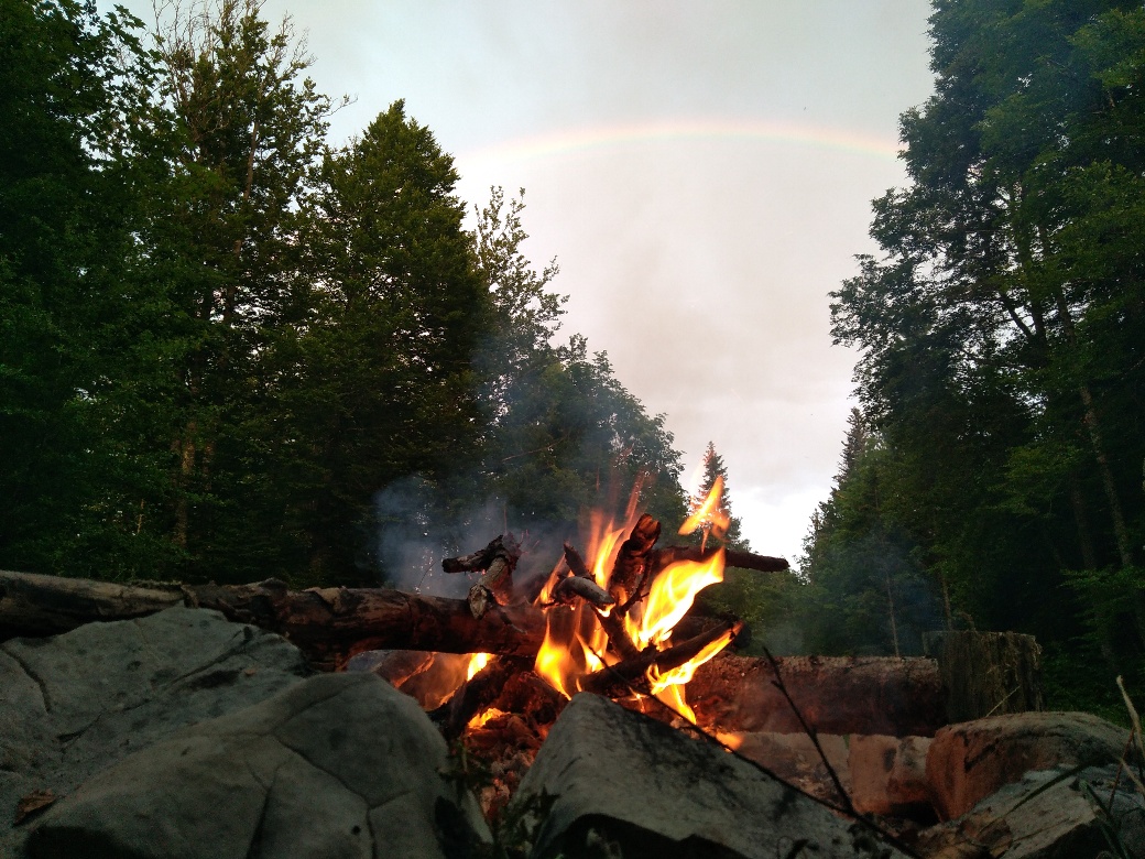 Immersions en nature