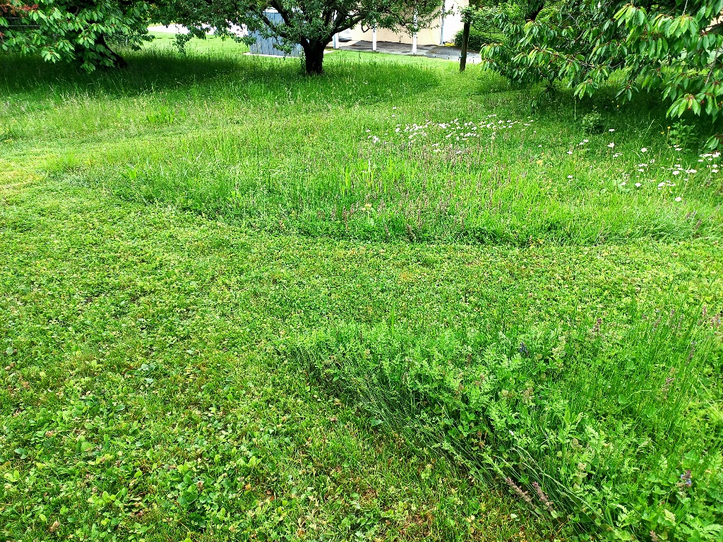 Jardinage écologique
