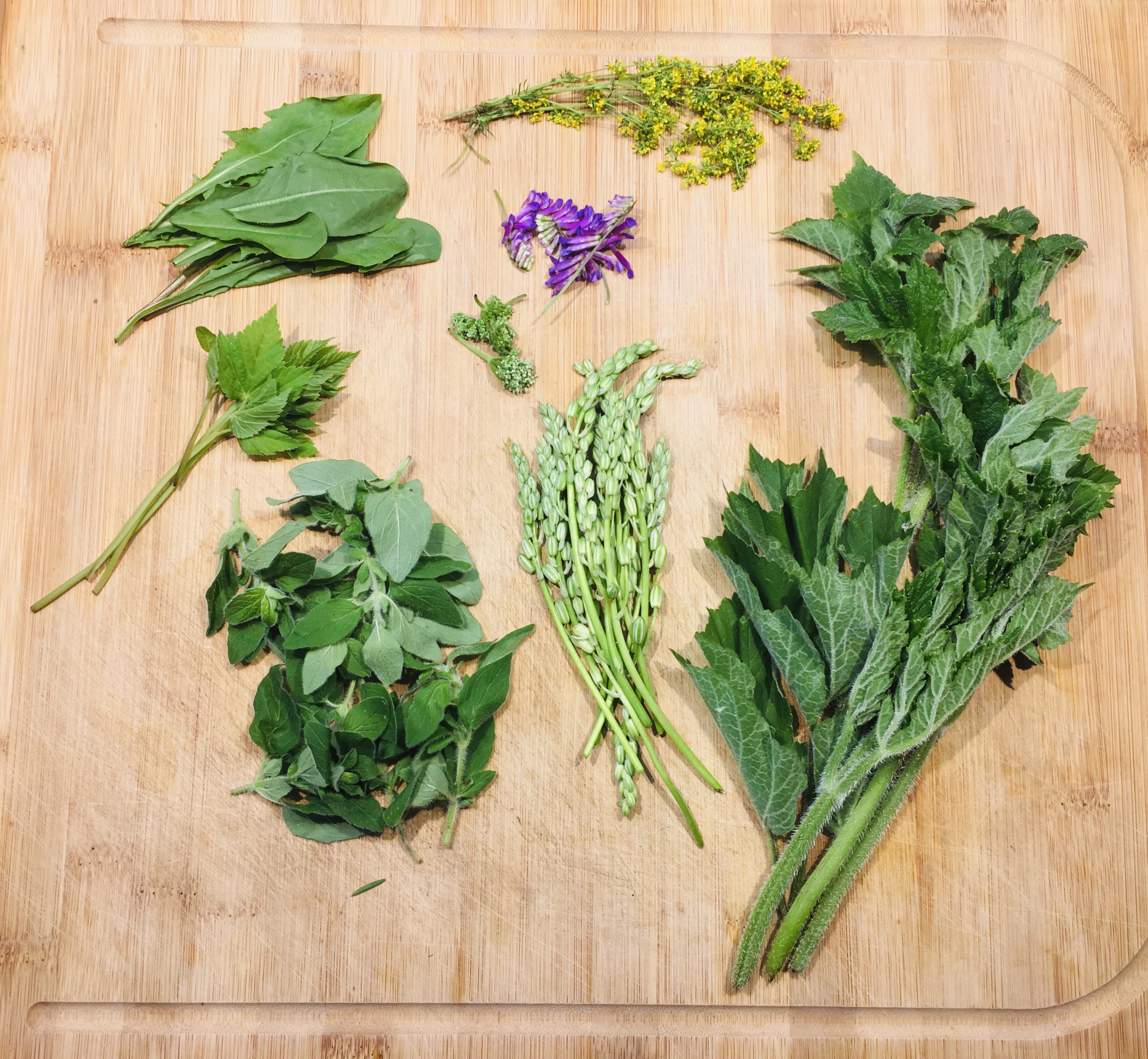 Plantes sauvages comestibles et médicinales