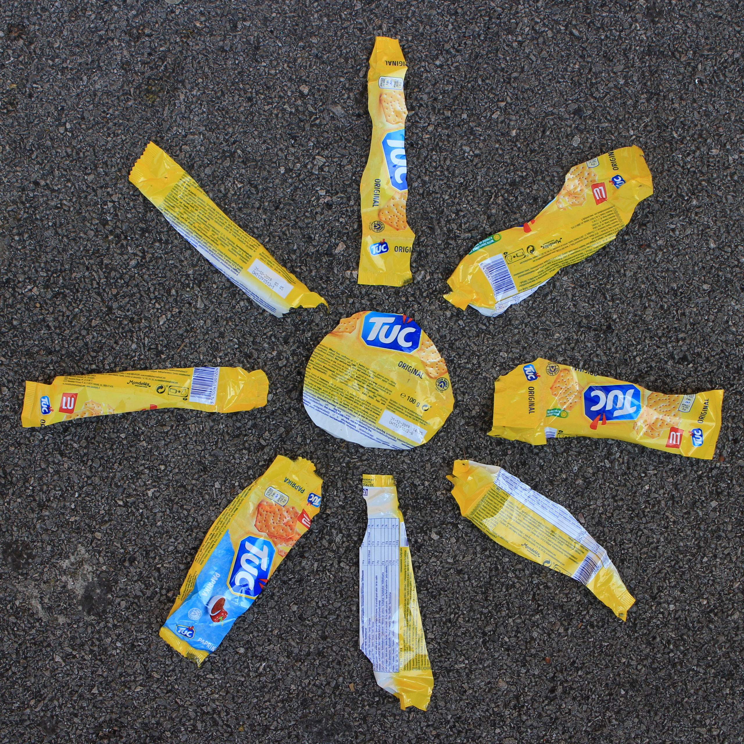 Atelier Créatif dans le cadre d’une Action de Ramassage de Déchets
