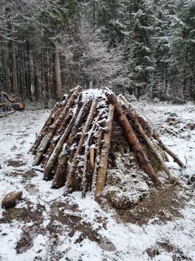 Stage Baroudeur en nature et de survie niveau