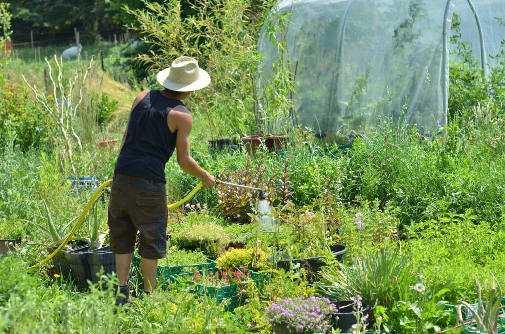 Formations permaculture
