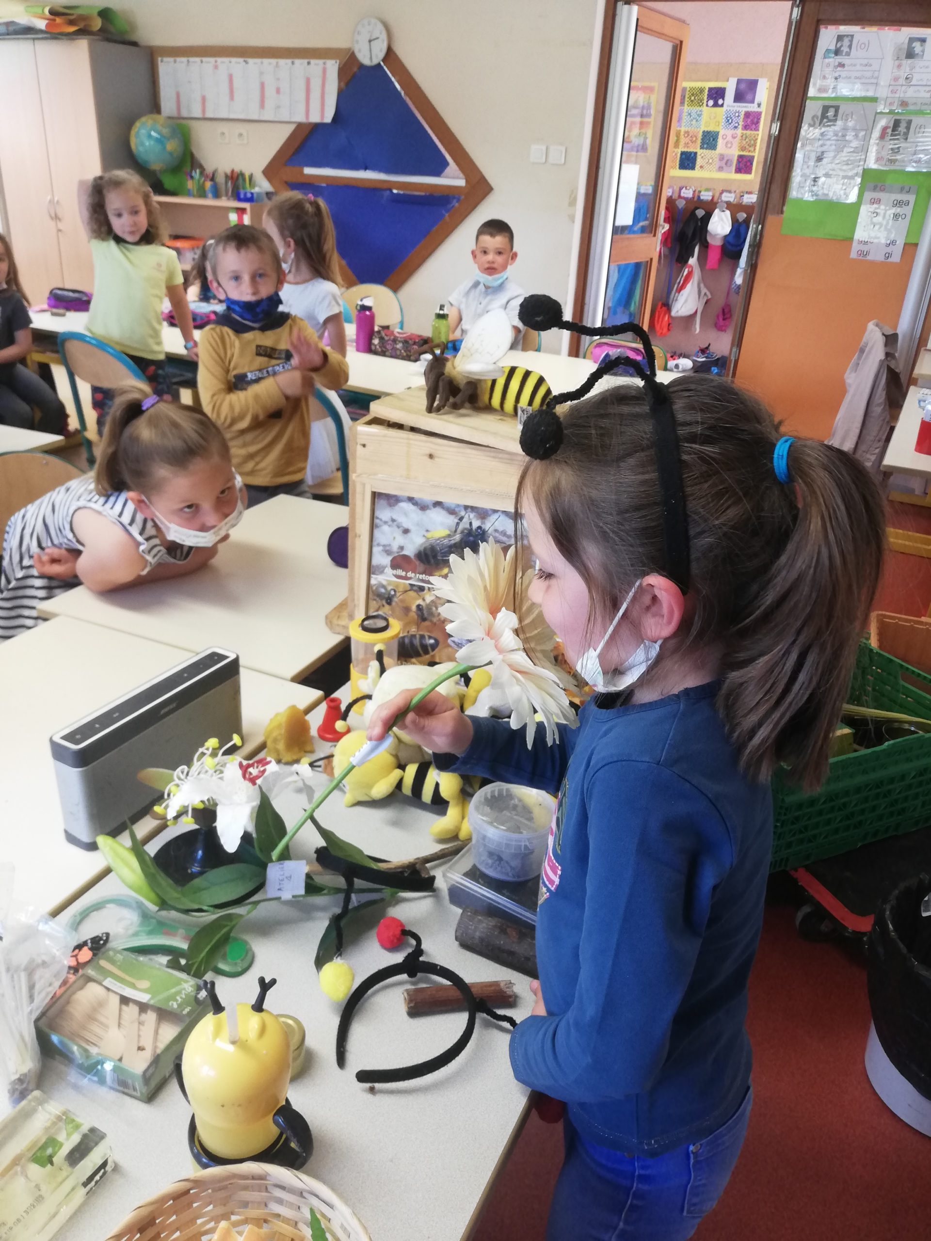 Découverte des abeilles en classe