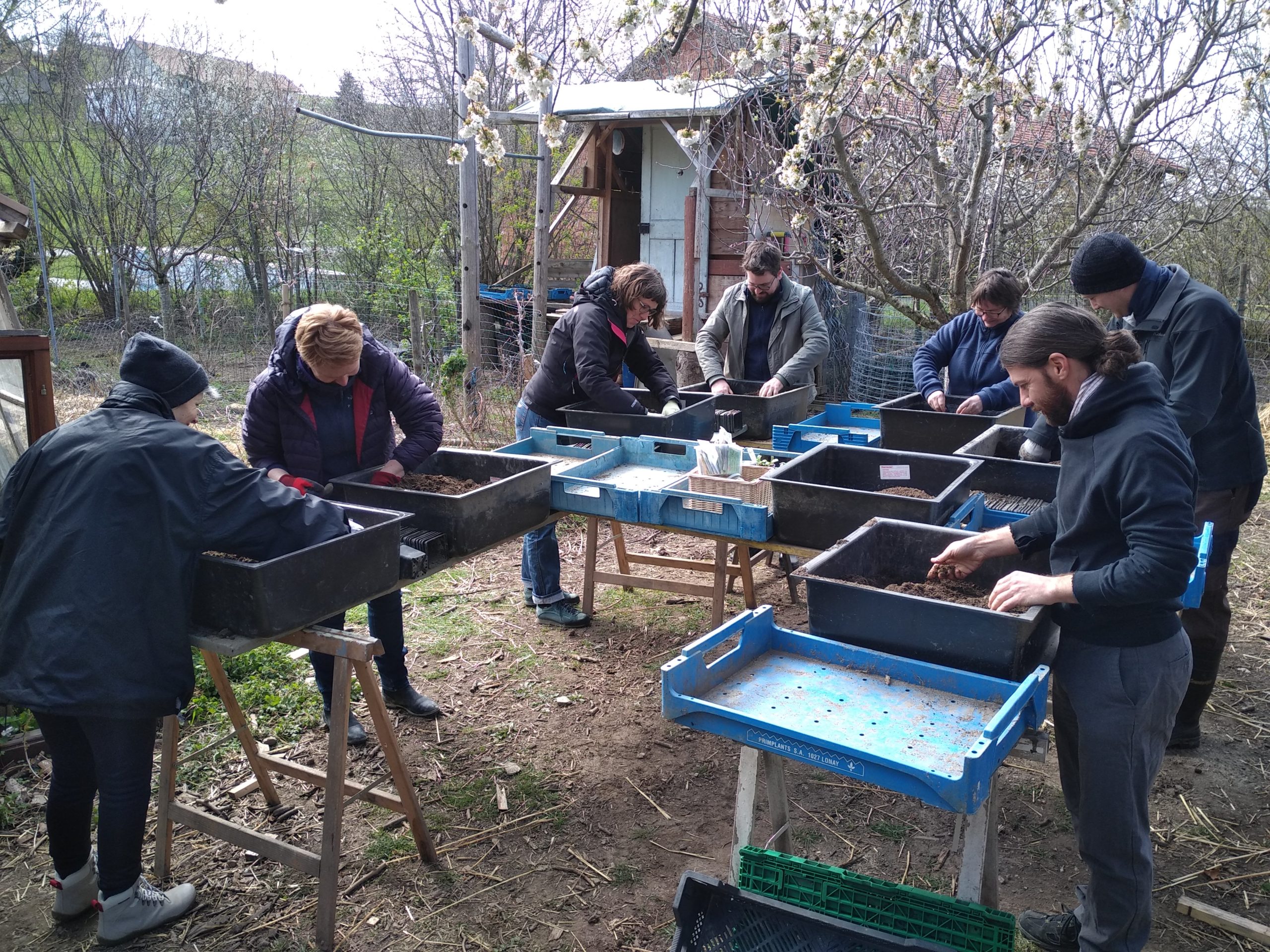 Cours de jardinage en permaculture